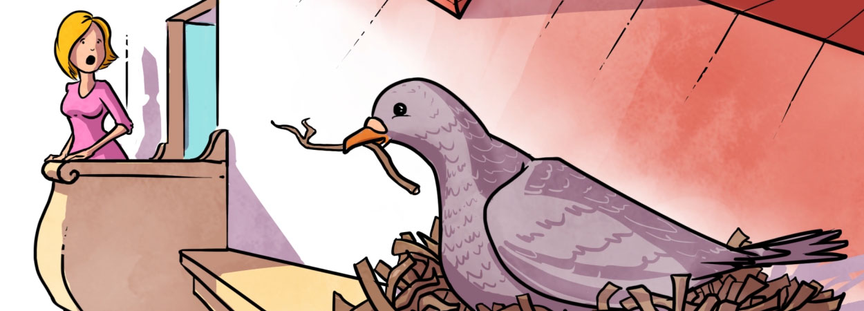 Explainer Video Style