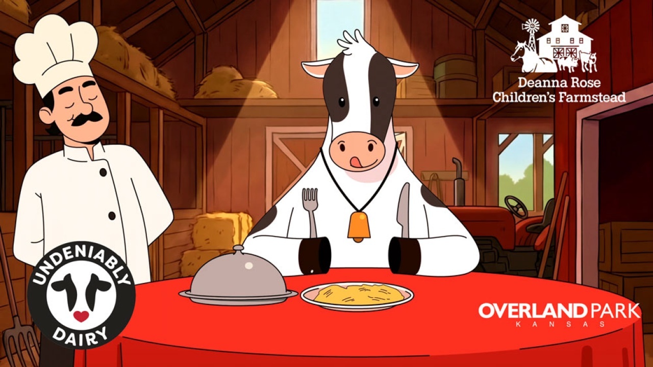 Explainer video examples for cartoon animation